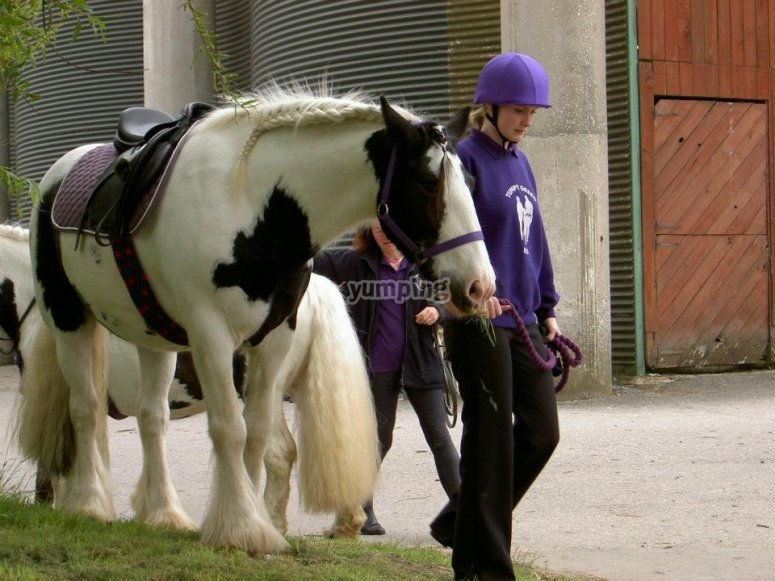 Avon Riding Centre, prices and bookings 2024